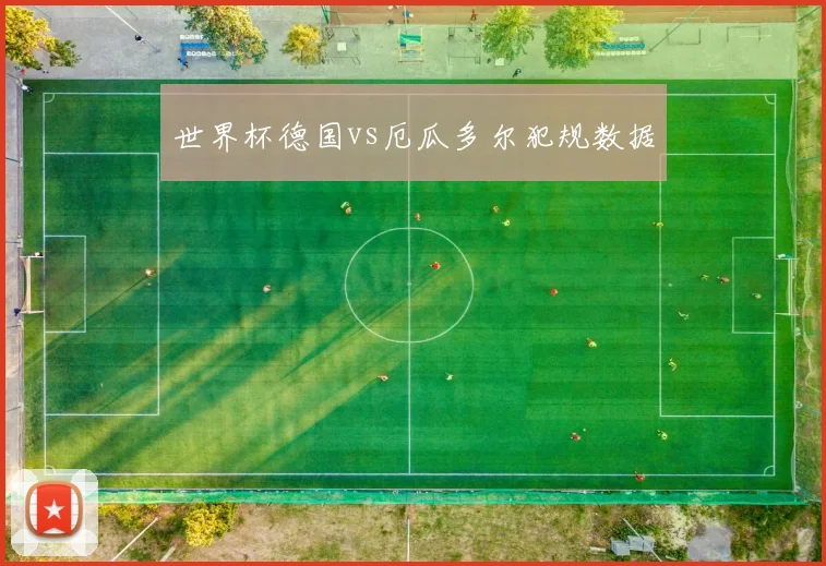 世界杯德国vs厄瓜多尔犯规数据