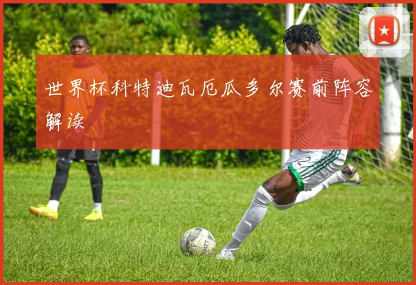世界杯科特迪瓦厄瓜多尔赛前阵容解读